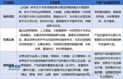 2024-2030年軟件和信息服務行業(yè)專項調研及投資前景預測分析報告